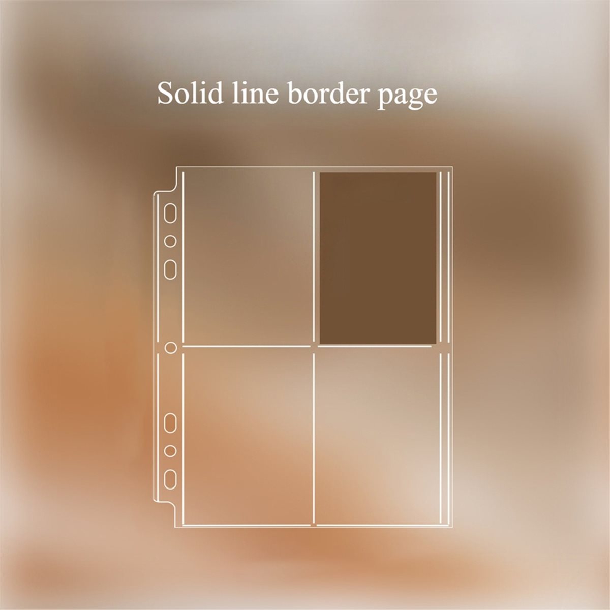 Fundas Transparentes para Foto - Trading Card Binder reseña y precio